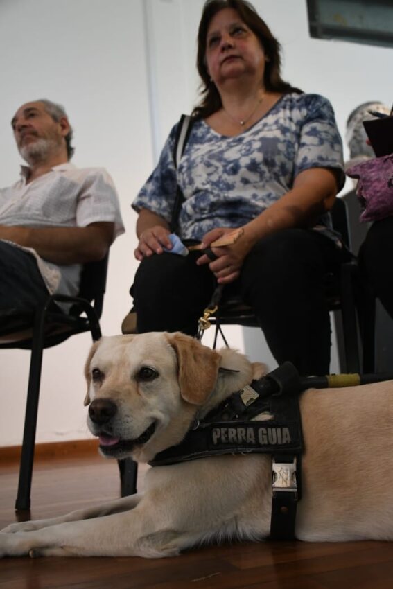 Bienal Accesible: avanzan los acuerdos entre Cultura, Fundación Urunday y colectivos de inclusión y diversidad 38