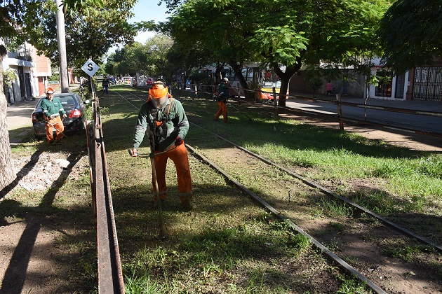 Resistencia inició el saneamiento de todas sus avenidas 38