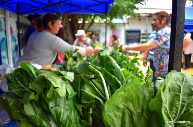 La Feria Cultiva hoy en el Cecual 38