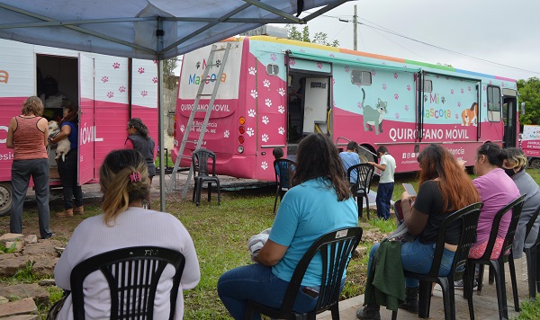 Resistencia realizó este viernes castración gratuita a 100 perros y gatos en el barrio Hipólito Irigoyen 38