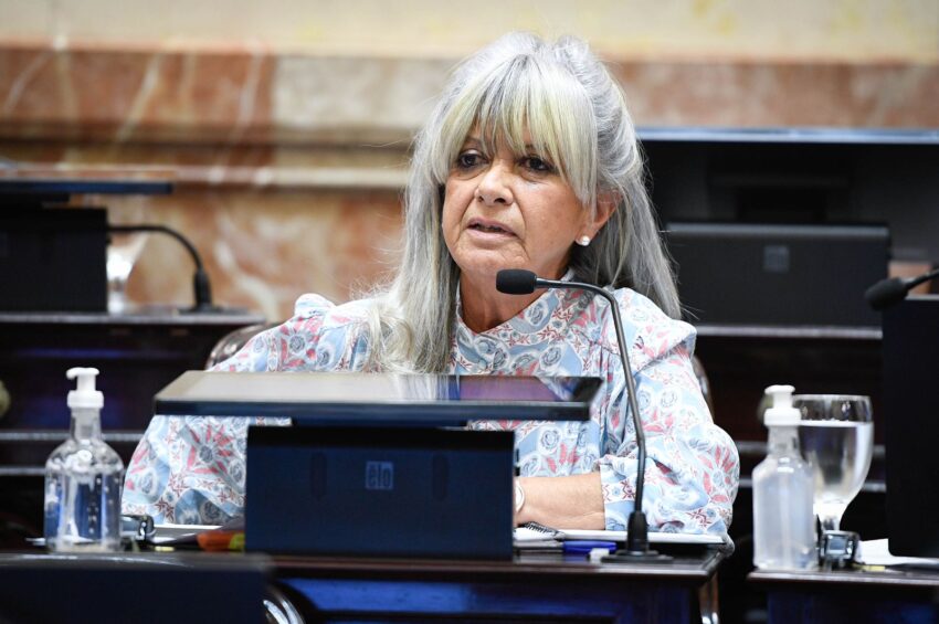 Pilatti Vergara: “La ley que quiere la oposición significa entregar el Consejo de la Magistratura a la Corte Suprema” 38