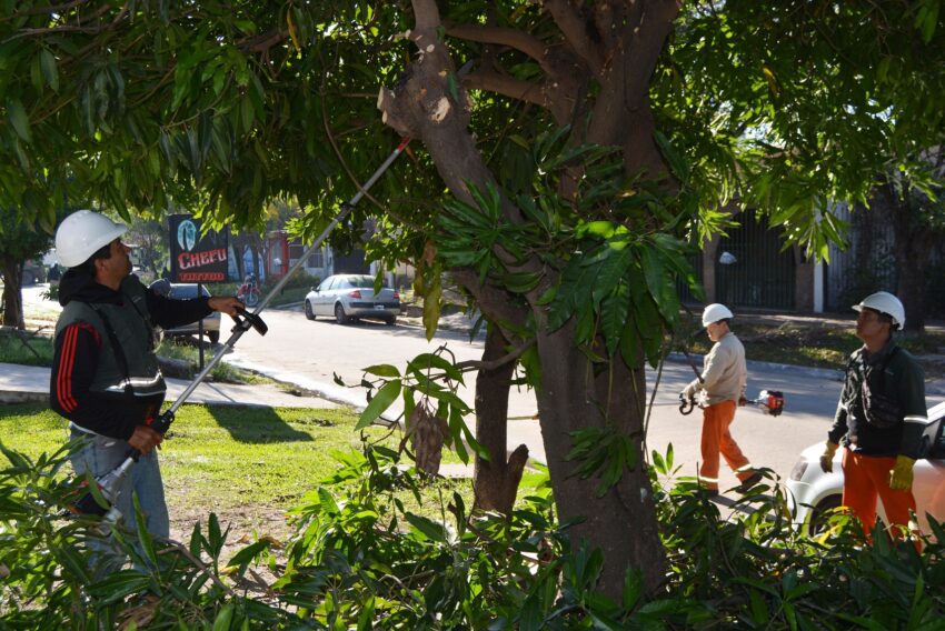 Resistencia llegó con el operativo de poda planificada a Villa Centenario 38