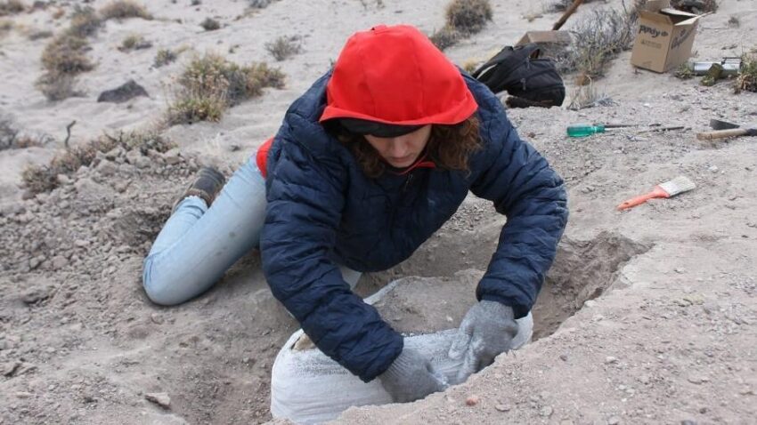 Encontraron fósiles de mamíferos que existieron hace 38 millones de años 38