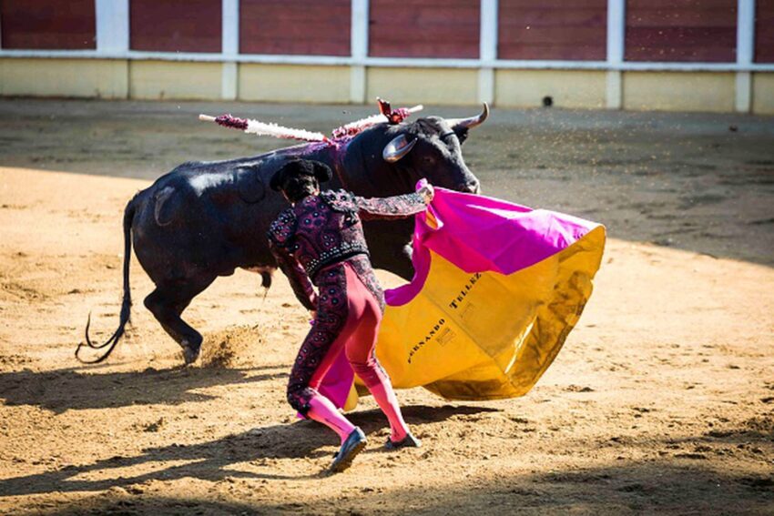 corrida de toros