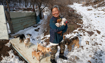 Jung Myoung Sook salvó a 200 perros de un restaurante de Corea