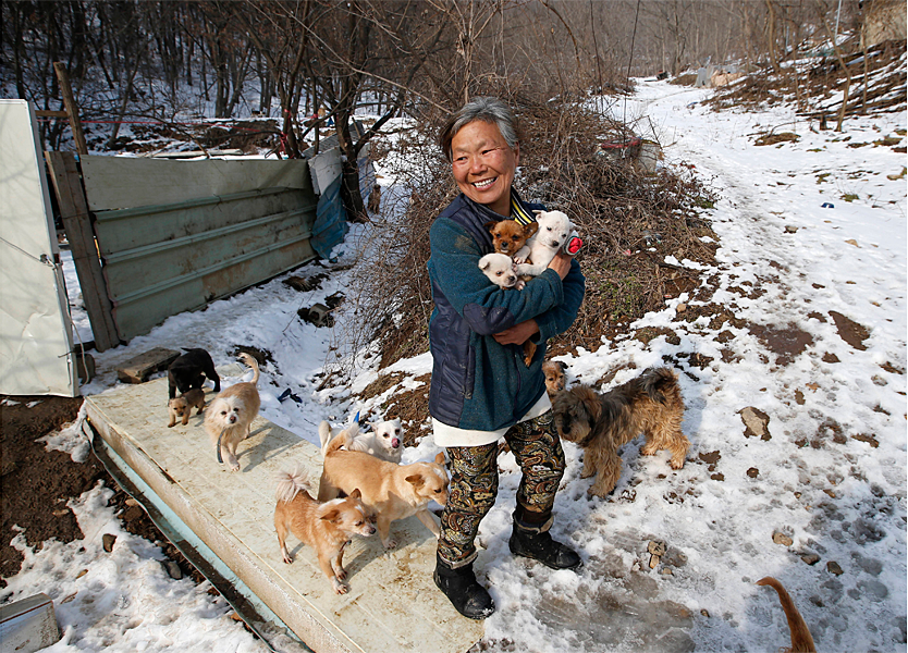 Jung Myoung Sook salvó a 200 perros de un restaurante de Corea