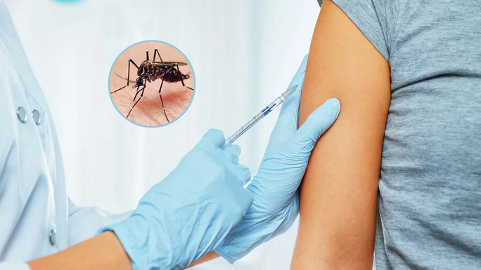 La ANMAT aprobó la vacuna contra el dengue cuándo llegará al país y cómo será su aplicación