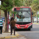 paro de colectivos