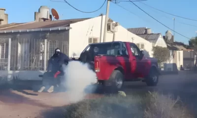 fumigación dengue