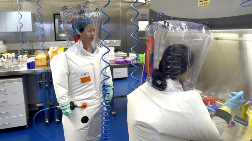 Un laboratorio chino creó una cepa mutante de Covid-19 100% mortal
