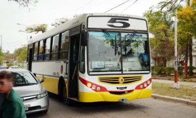 colectivos