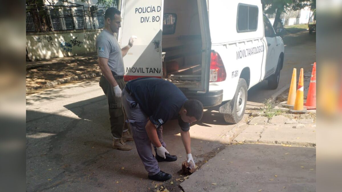 Hallaron un cráneo en pleno centro de Resistencia