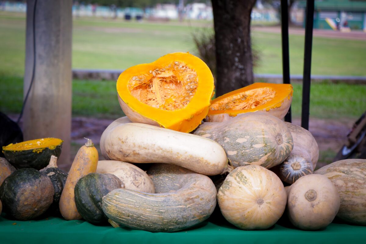 Se realizó la segunda edición de la Feria de Pequeños Productores: "De la Huerta a la Mesa"