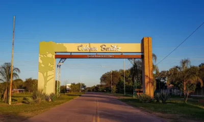 Tragedia en Colonia Benítez: un niño de 10 años murió aplastado por un árbol