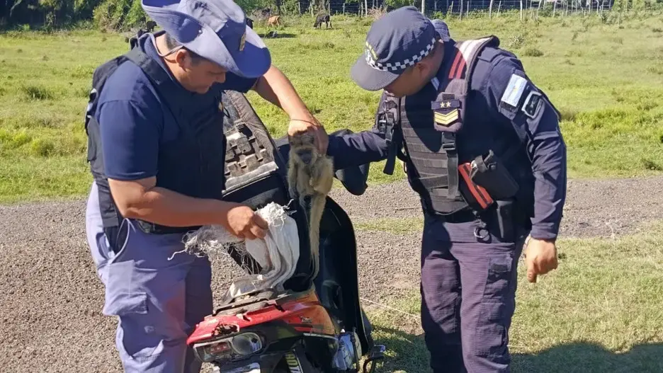 Basail: tenía dos monos en el baúl de su moto y los ofrecía a la venta