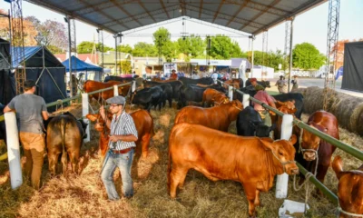 El Gobierno provincial acompañó la 3° Expo Brangus Primavera que se realizó en General San Martín