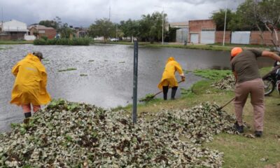 Llueve en Resistencia: cuadrillas municipales intervinieron en diferentes puntos y se mantiene el alerta