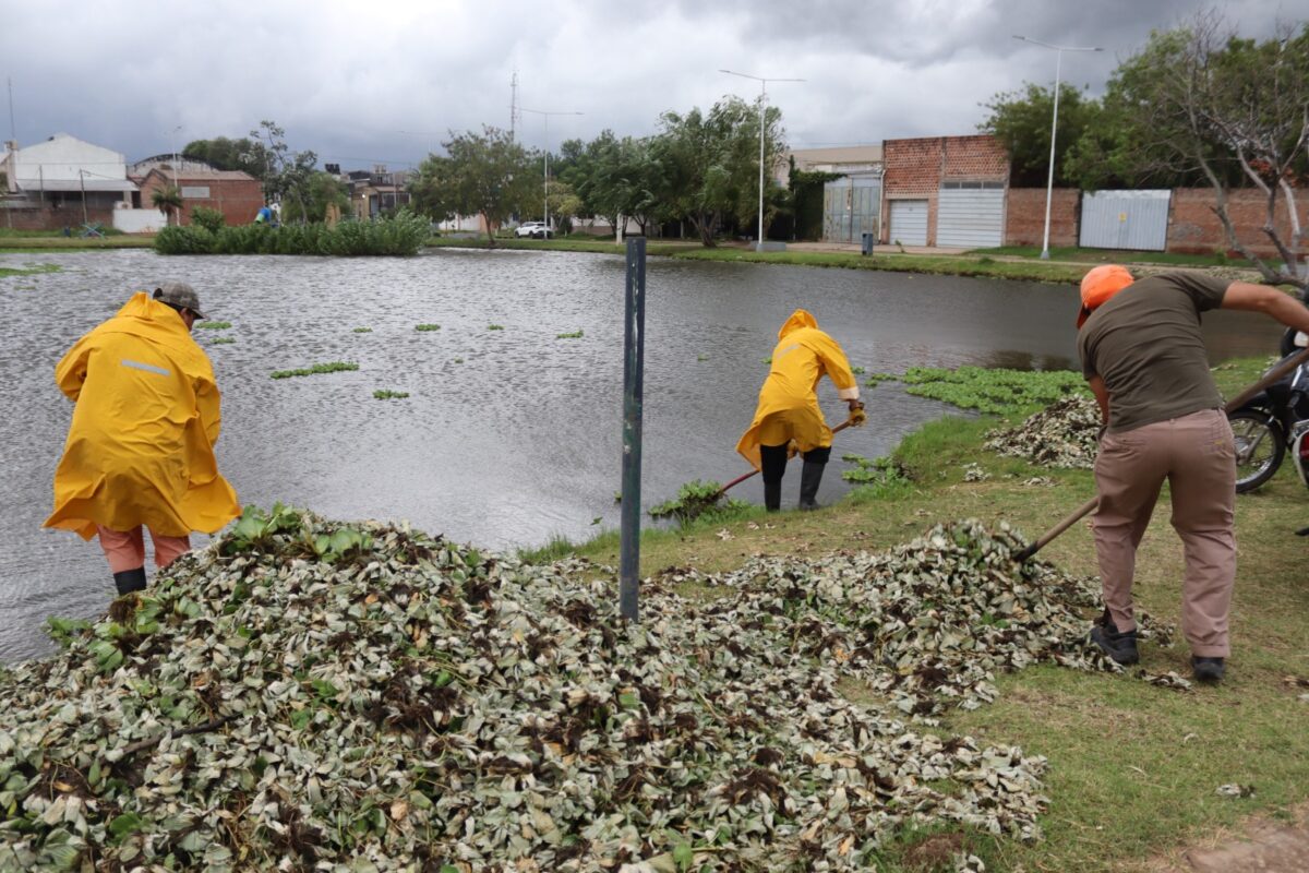 Llueve en Resistencia: cuadrillas municipales intervinieron en diferentes puntos y se mantiene el alerta