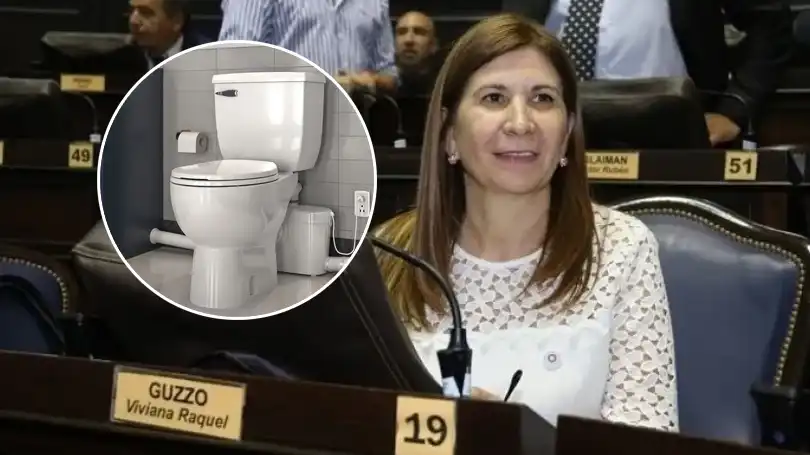 Diputada bonaerense presentó un proyecto para declarar el inodoro como “un lugar para la paz”