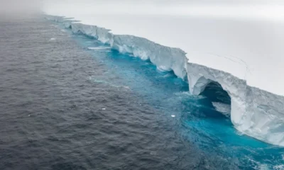 El iceberg más grande del mundo se desprendió y navega por el océano: qué impacto tendrá