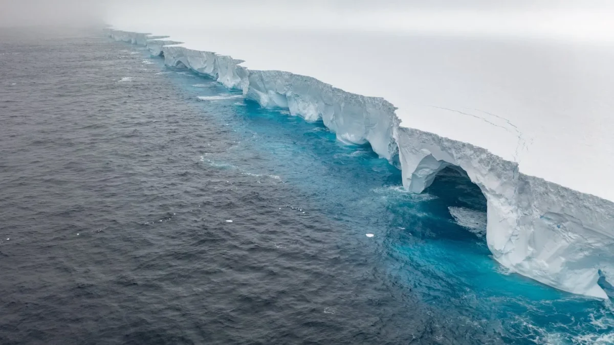 El iceberg más grande del mundo se desprendió y navega por el océano: qué impacto tendrá