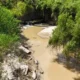 Tragedia en Barranqueras: un niño falleció tras intentar bañar a su caballo en la laguna