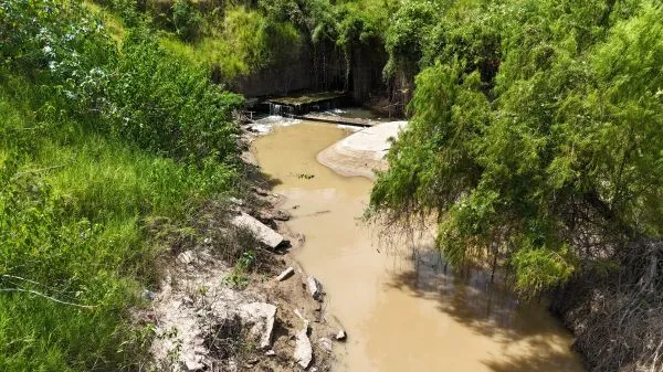 Tragedia en Barranqueras: un niño falleció tras intentar bañar a su caballo en la laguna