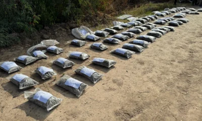 Incautan más de 50 kilos de marihuana en paraje Pindó: un nuevo golpe al narcotráfico en Chaco