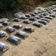 Incautan más de 50 kilos de marihuana en paraje Pindó: un nuevo golpe al narcotráfico en Chaco