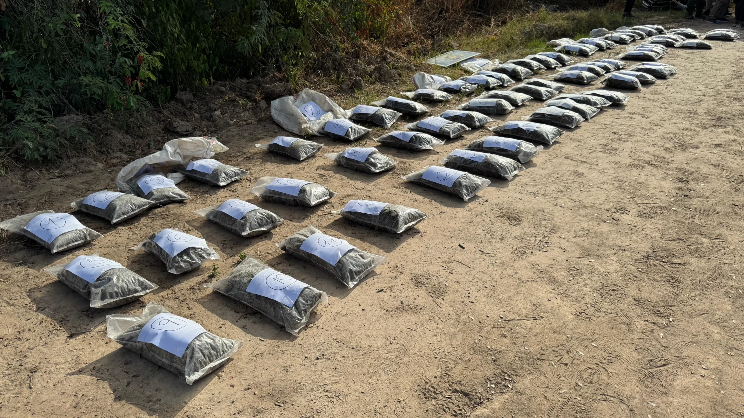 Incautan más de 50 kilos de marihuana en paraje Pindó: un nuevo golpe al narcotráfico en Chaco