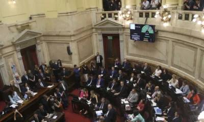 El Senado convirtió en ley la suspensión de las PASO a nivel nacional