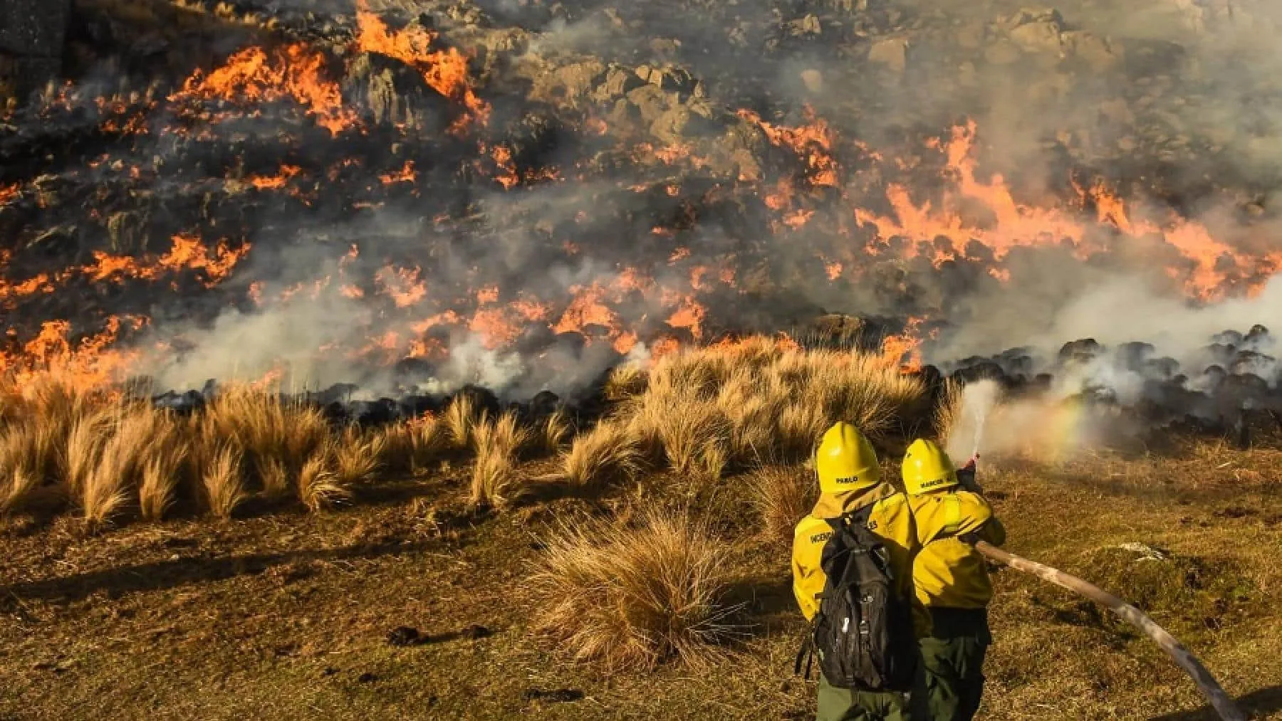 Incendios en Corrientes: a la espera de que llueva, se estima que hoy y mañana serán días muy complicados 38 Incendios en Corrientes