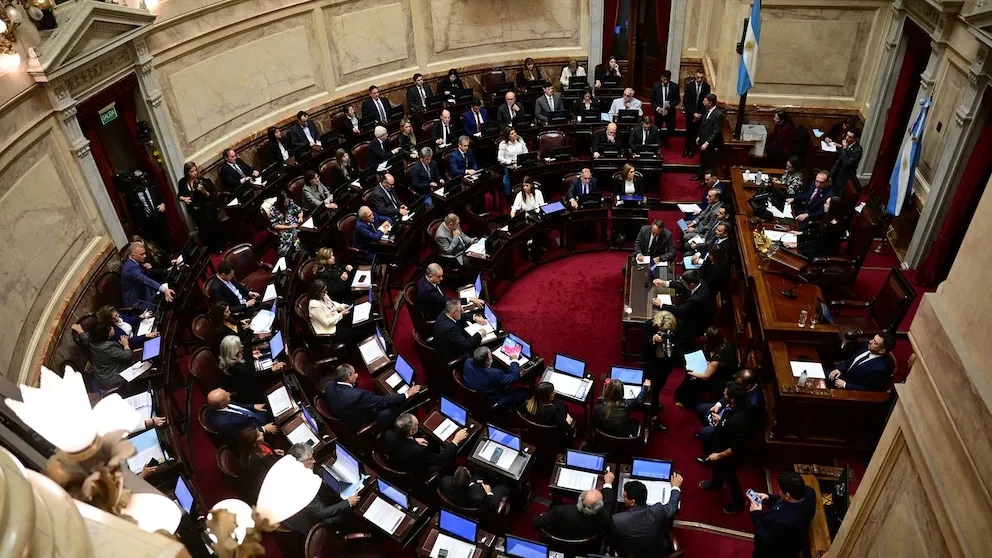 El Senado debate el proyecto de Ficha Limpia, una ley que podría cambiar el panorama electoral 36 El Senado debate el proyecto de Ficha Limpia, una ley que podría cambiar el panorama electoral