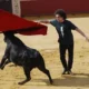 Andrés Calamaro se salió del escenario en Colombia en medio de abucheos por apoyar las corridas de toros