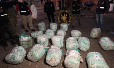 Incautaron más de 230 kilos de marihuana tras un allanamiento en un campo de La Leonesa