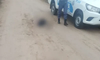 Hallaron a una mujer muerta sobre Ruta N° 95 con un disparo de arma de fuego