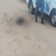 Hallaron a una mujer muerta sobre Ruta N° 95 con un disparo de arma de fuego