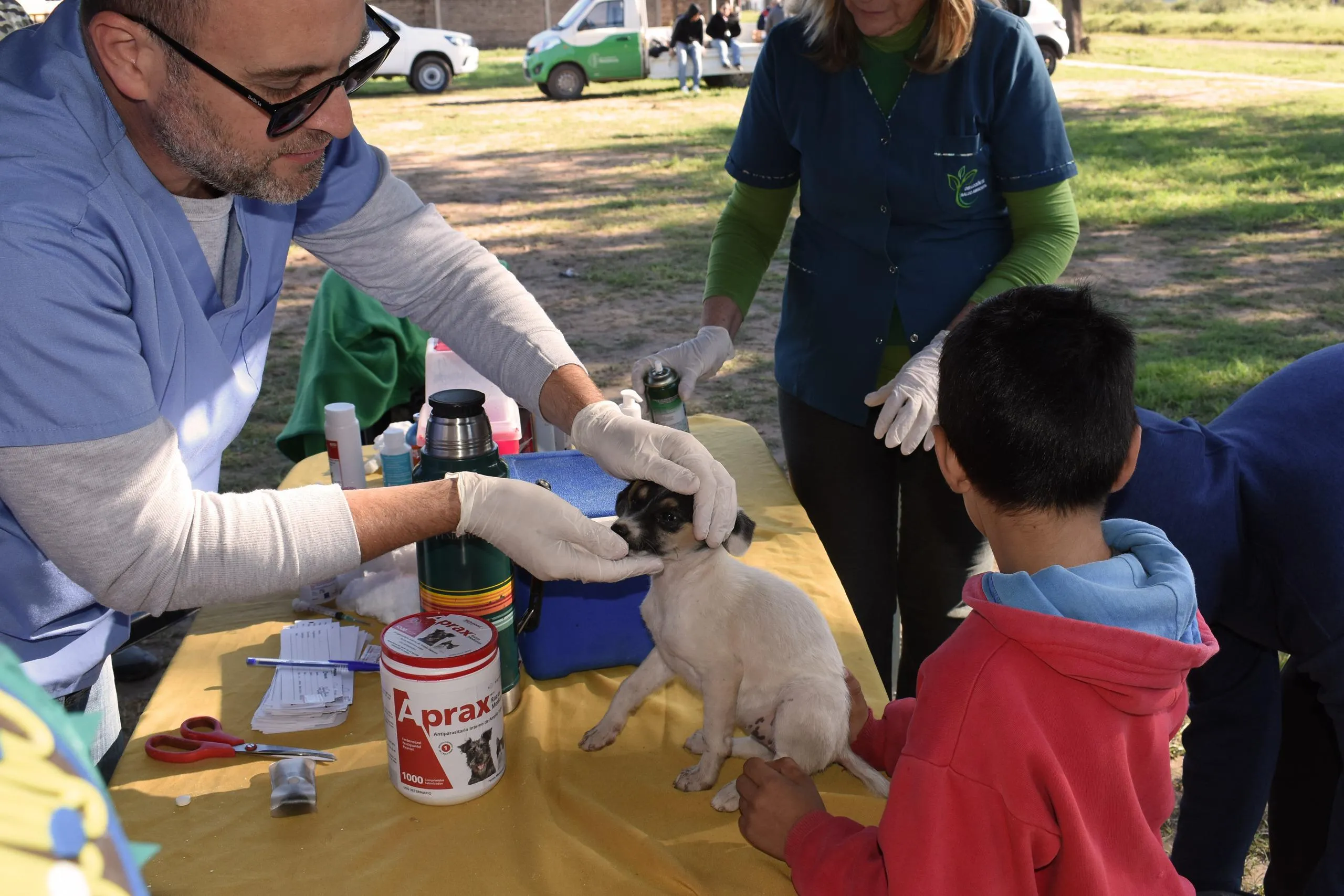 Protección animal: el programa “Dejando Huellas” llegó a la zona sur de Resistencia 36
