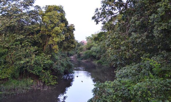El Ministerio de Producción aclara que la Ley de Bosques es clave para la sostenibilidad del Chaco