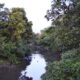 El Ministerio de Producción aclara que la Ley de Bosques es clave para la sostenibilidad del Chaco