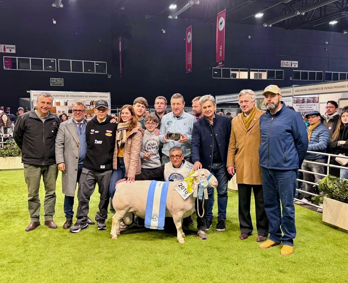 Chaco celebró un nuevo triunfo ganadero en Palermo: un ejemplar White Dorper fue consagrado Gran Campeón