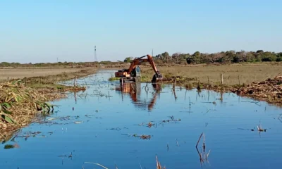APA y Vialidad limpiaron más de 20 km de canales rurales en Plaza para mejorar el escurrimiento hídrico