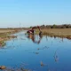 APA y Vialidad limpiaron más de 20 km de canales rurales en Plaza para mejorar el escurrimiento hídrico
