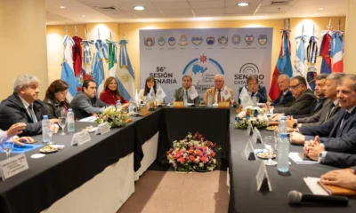 Chaco se comprometió con la seguridad regional en el plenario de vicegobernadores del Norte Grande