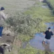 Hallaron el celular de Leonela en un canal frente al zoológico de Sáenz Peña