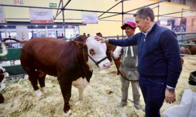 Zdero presentó el potencial productivo del Chaco en la Expo Rural de Palermo