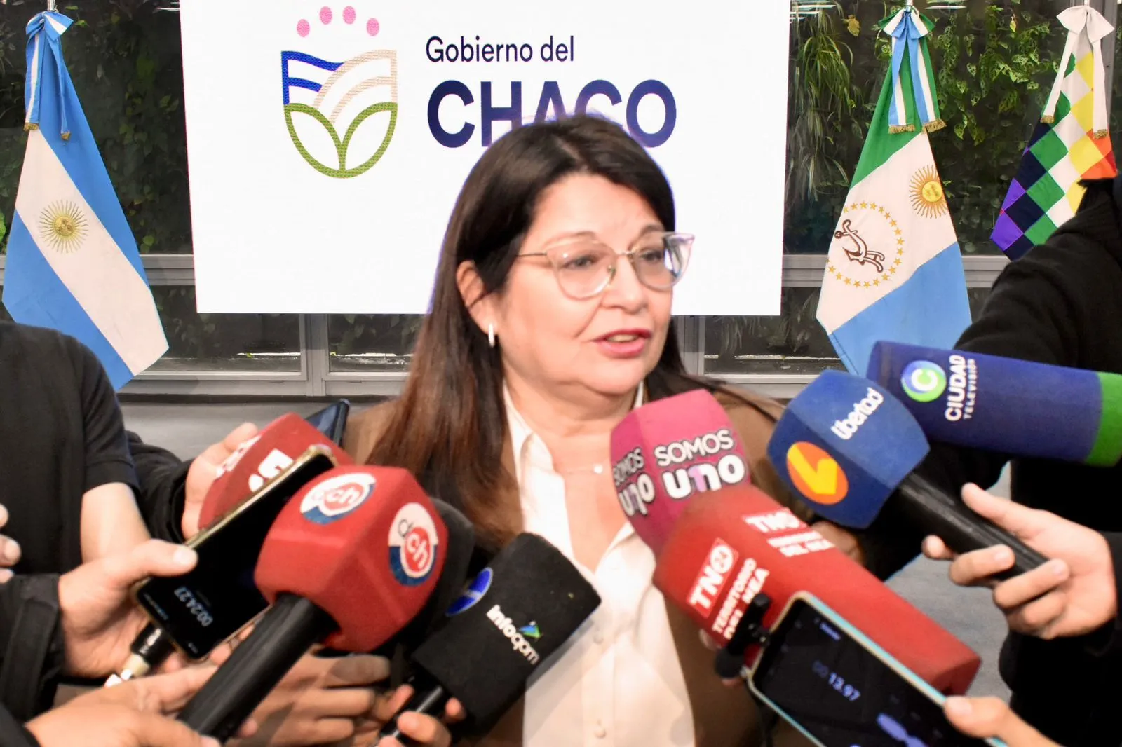 Desde el Iprodich aclararon sobre la suspensión de pensiones no contributivas por invalidez laboral