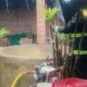 Macabro hallazgo en Plaza: mujer de 68 años fue encontrada muerta en un aljibe