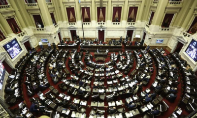Diputados debate el veto de Milei a la ley de emergencia en Discapacidad y la oposición busca dar el golpe