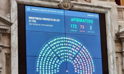 Diputados aprobó el rechazo al veto a la emergencia en Discapacidad y la oposición le dio un golpe al Gobierno